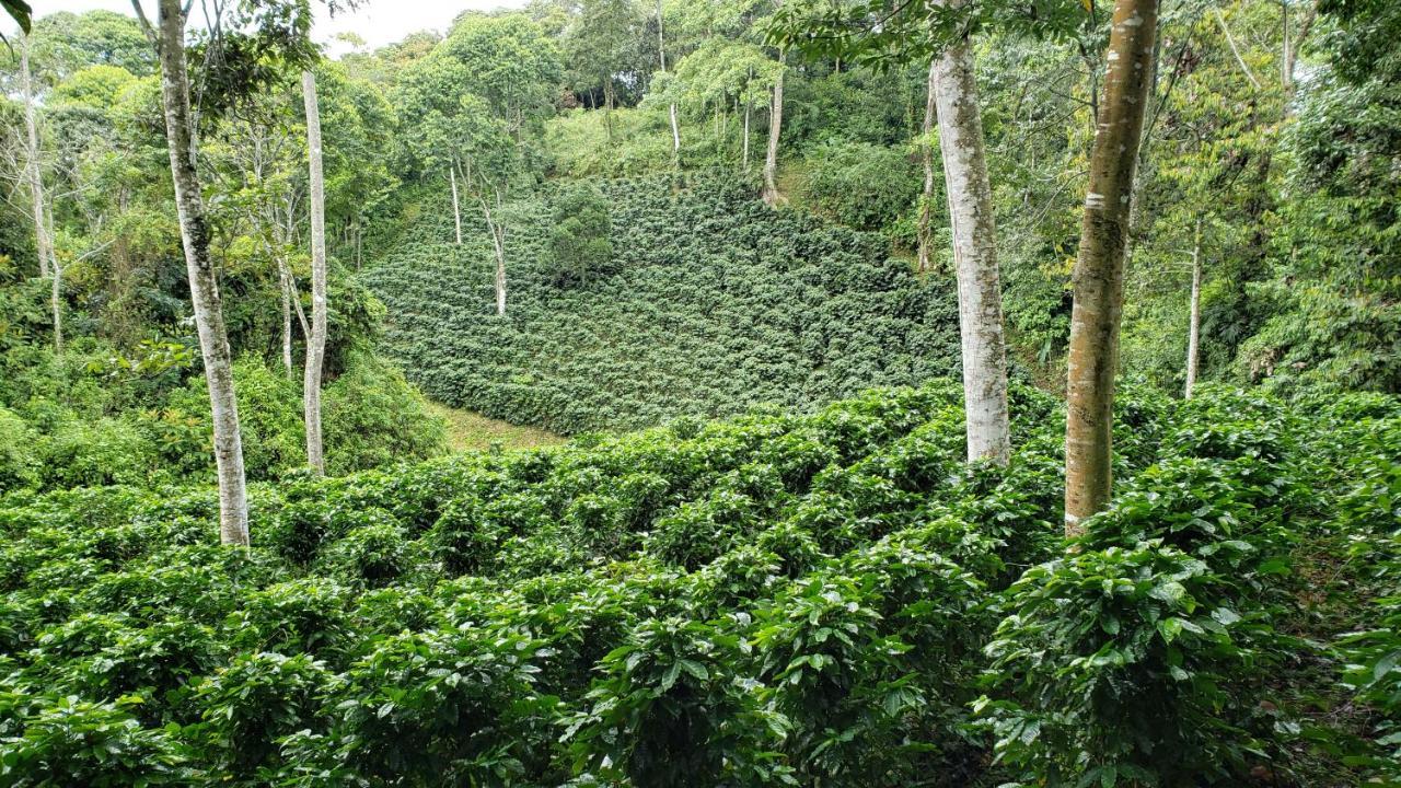 Finca Tres Equis - Farm And Forest Exterior foto