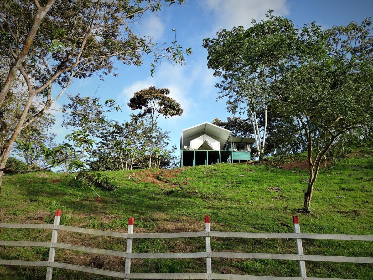 Finca Tres Equis - Farm And Forest Exterior foto