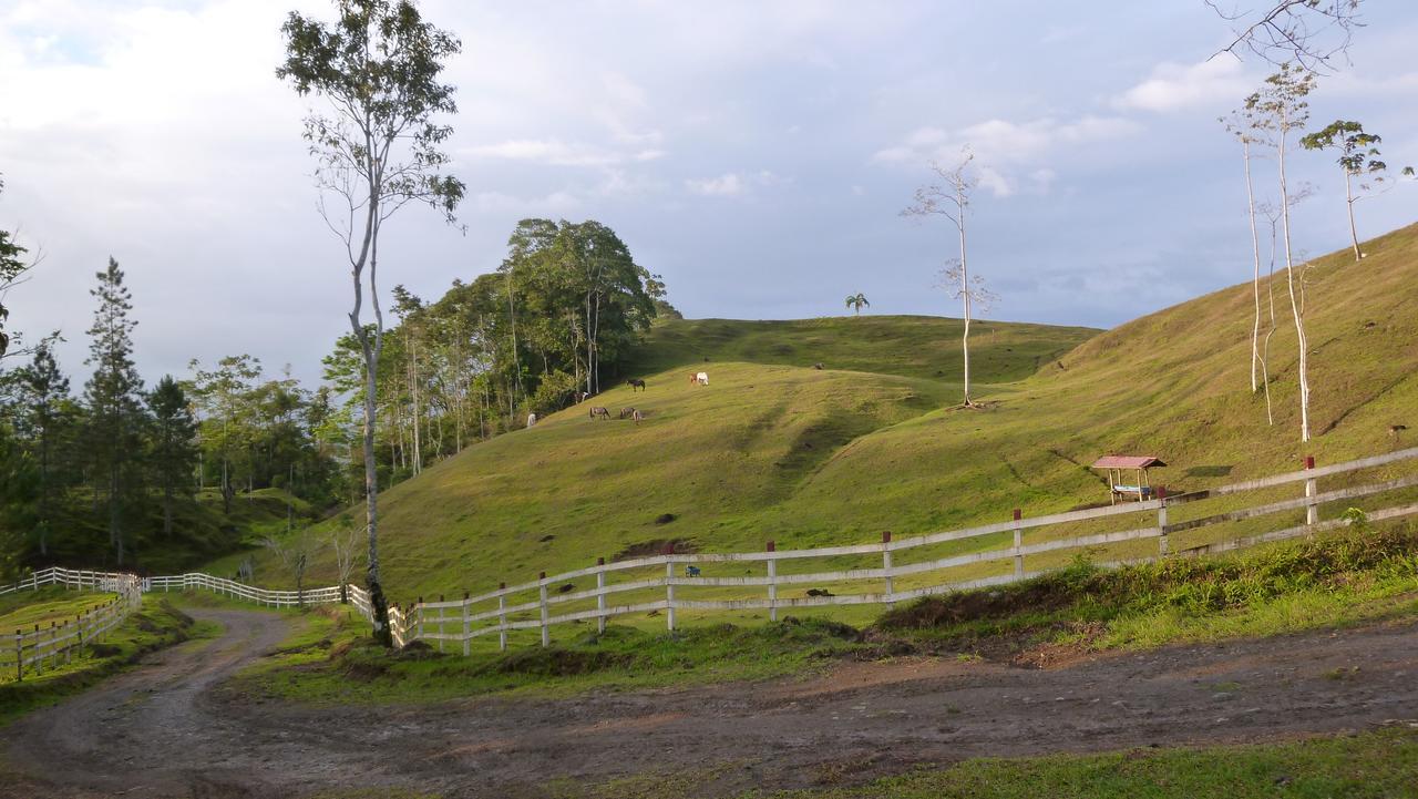 Finca Tres Equis - Farm And Forest Exterior foto