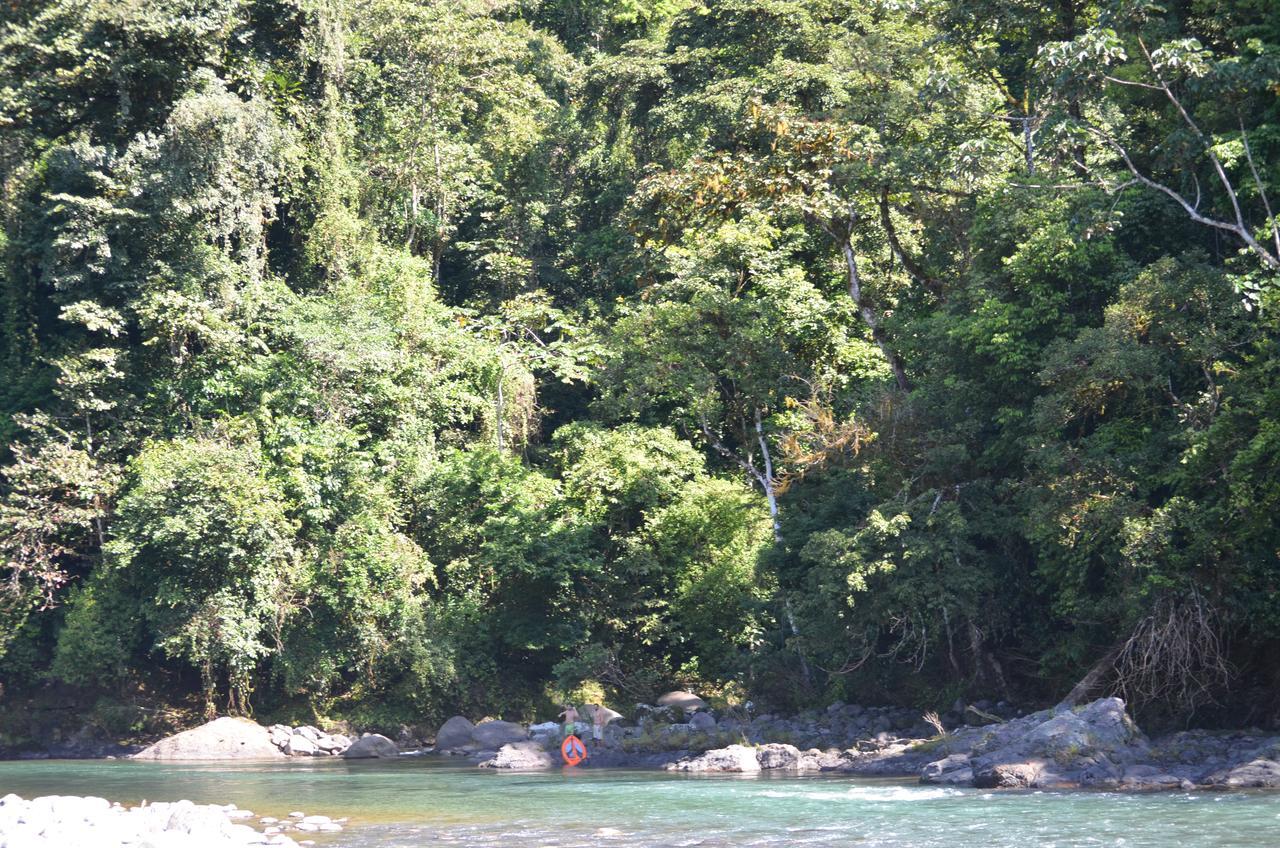 Finca Tres Equis - Farm And Forest Exterior foto